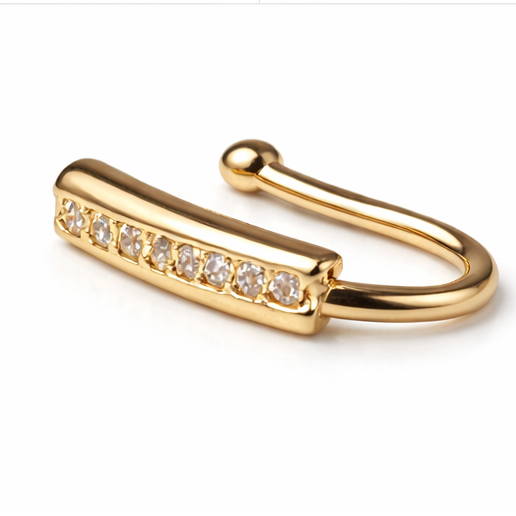 Tiny Flex Piercing Earrings